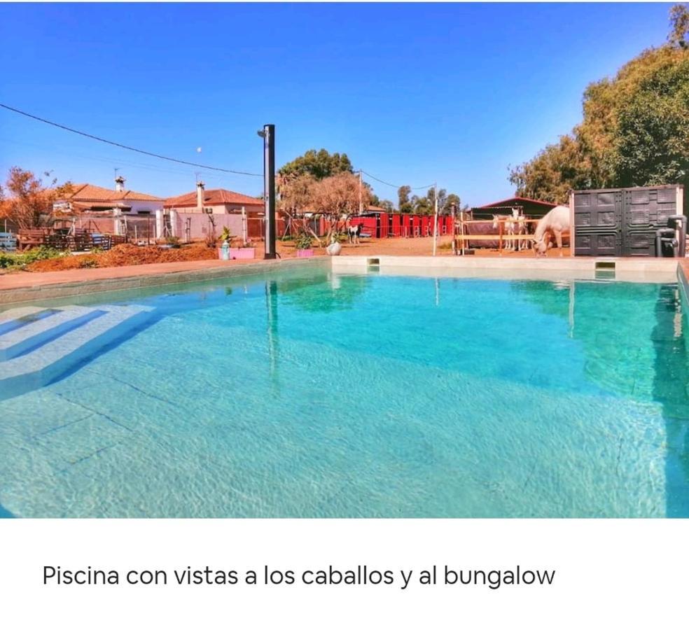 Granja America Appartement Chiclana de la Frontera Buitenkant foto